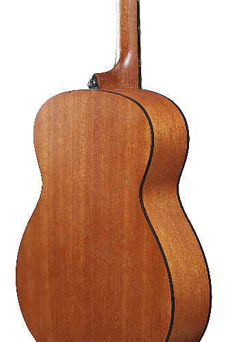 Акустическая гитара IBANEZ VC50NJP-OPN #2 - фото 2