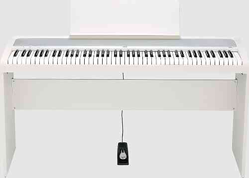 KORG B2+SP WHITE