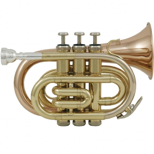 Музыкальная труба Roy Benson PT-101 #1 - фото 1