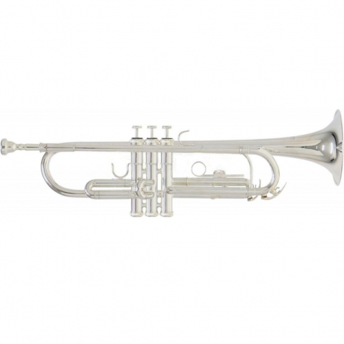 Музыкальная труба Roy Benson TR-202S #1 - фото 1