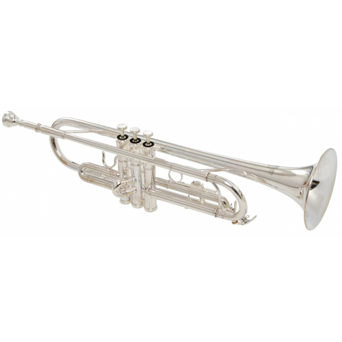 Музыкальная труба Roy Benson TR-202S #3 - фото 3