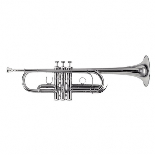 Музыкальная труба Roy Benson TR-402CS #1 - фото 1