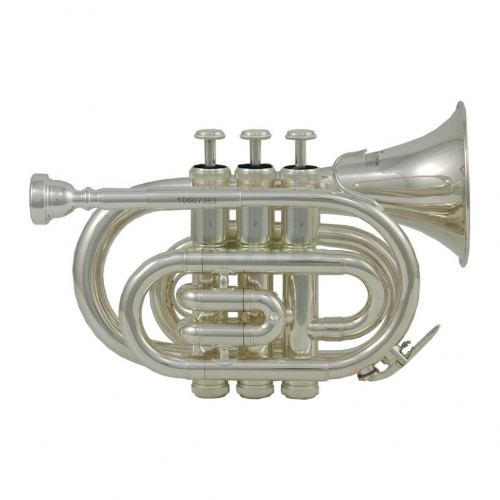 Музыкальная труба Roy Benson PT-101S #1 - фото 1